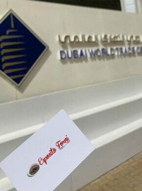 CAE906F8-BAAB-4C8D-946A-708415A51804-scaled-290x390